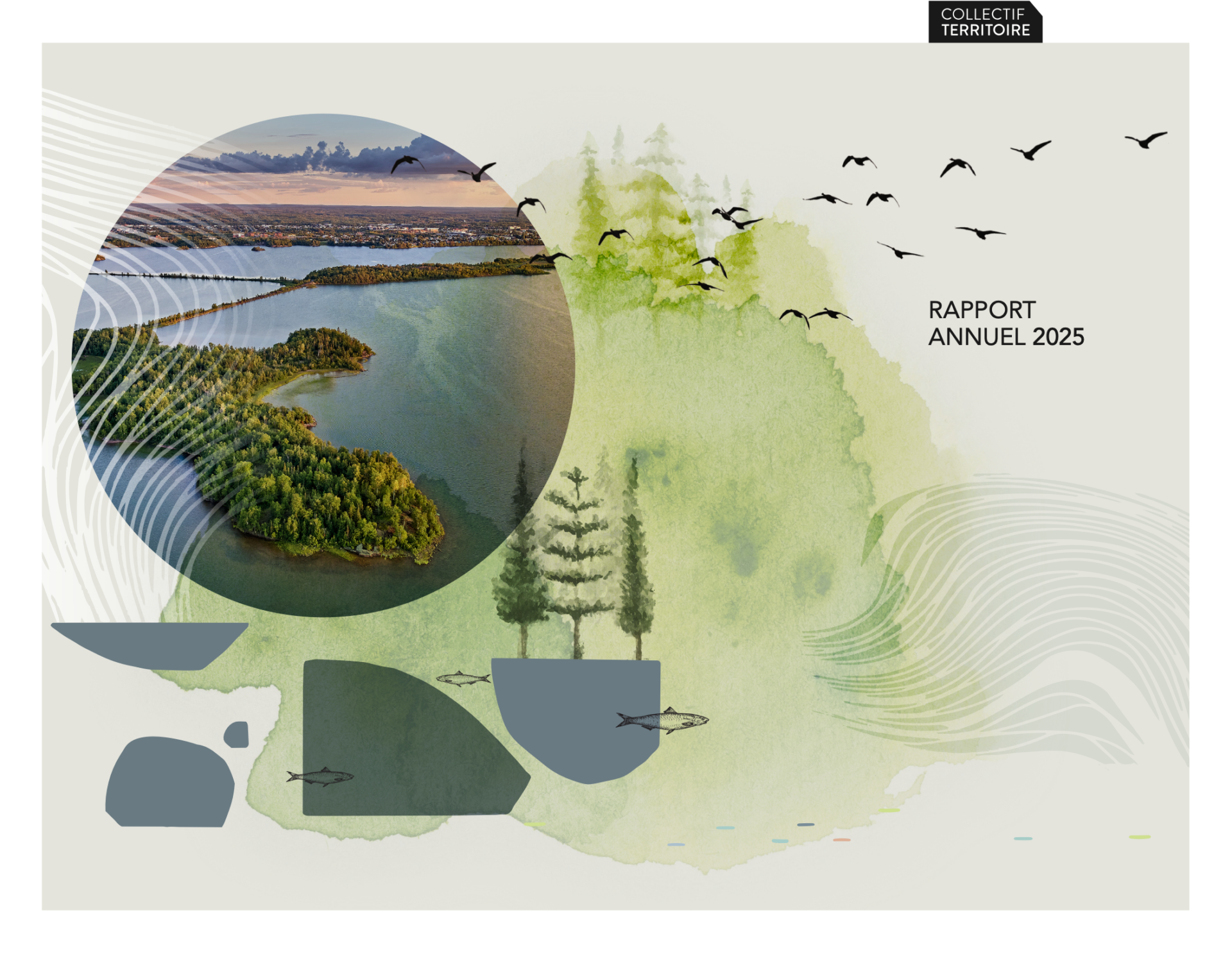 Rapport annuel 2025 du Collectif Territoire